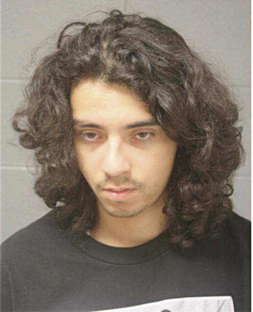 ADRIAN SARINANA, Cook County, Illinois