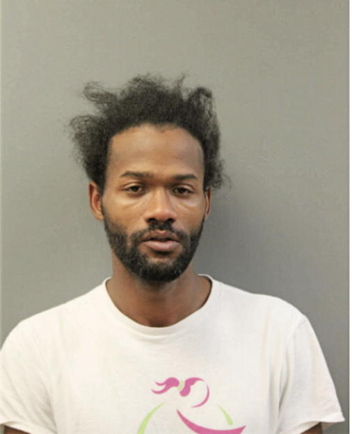 CHAUNCE A STURDIVANT, Cook County, Illinois
