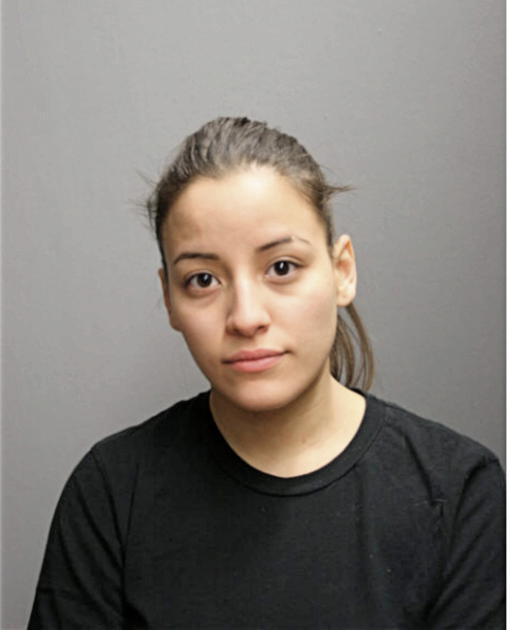 AMERIKA G ALVARADO, Cook County, Illinois