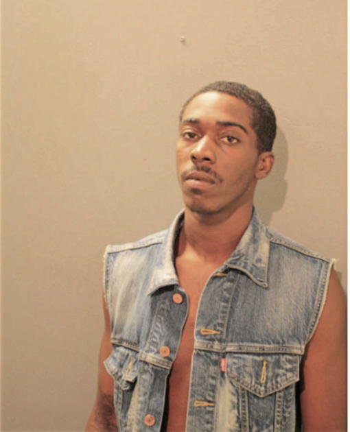 SEAN D ANDREWS, Cook County, Illinois