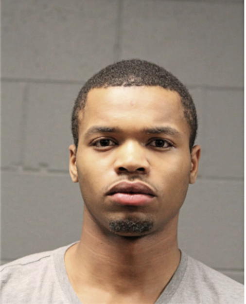 STEVE A BRADLEY, Cook County, Illinois
