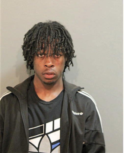 PARIS L BROWN, Cook County, Illinois