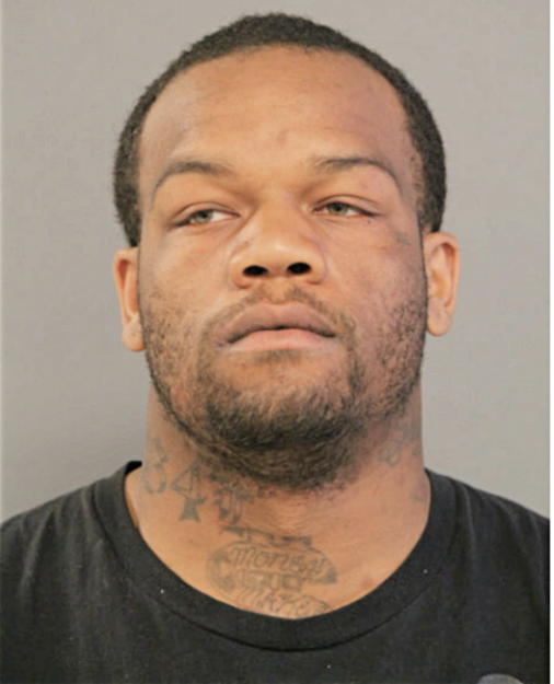 MARTISE L BRYANT, Cook County, Illinois