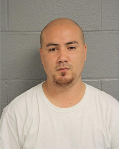 RICARDO CABELLO-ALVARADO, Cook County, Illinois