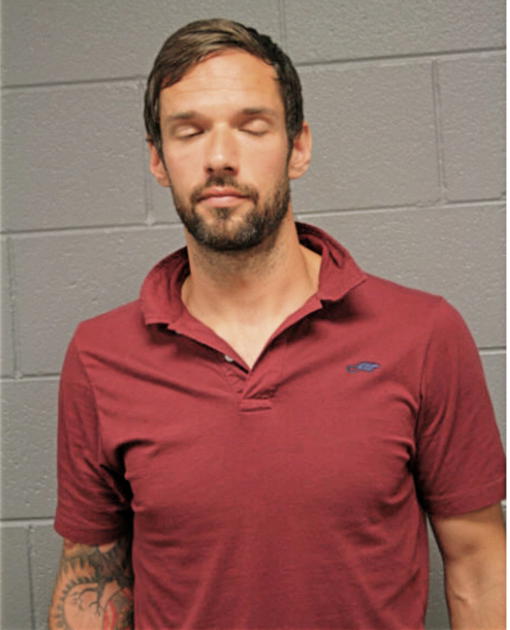 BRIAN A CARVER, Cook County, Illinois