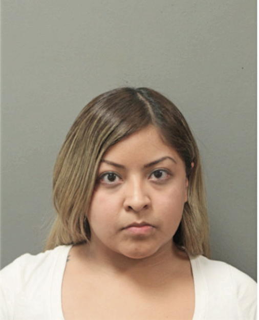 ERICA CASTILLO, Cook County, Illinois