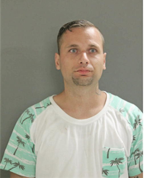 JAMES DALU, Cook County, Illinois