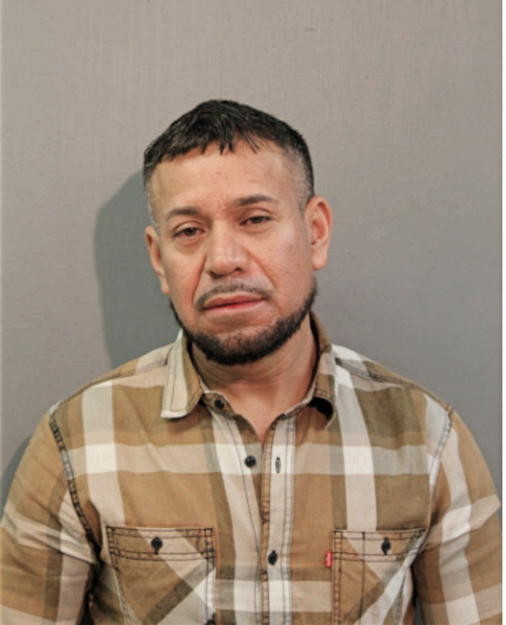 HUMBERTO GUERECA, Cook County, Illinois