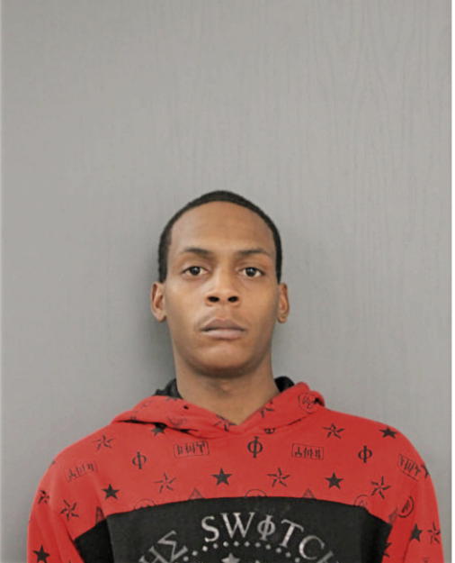DAVID S LOLLES, Cook County, Illinois