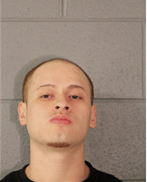 FABIAN R MAGDALENO, Cook County, Illinois