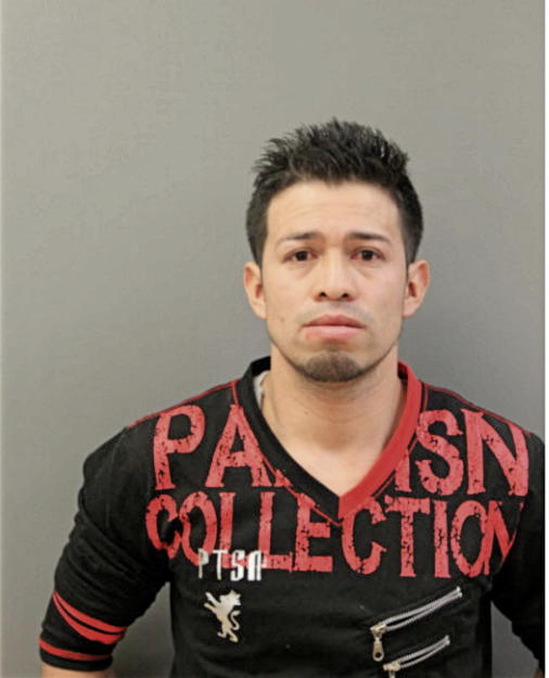 CAMILO MONCADA, Cook County, Illinois