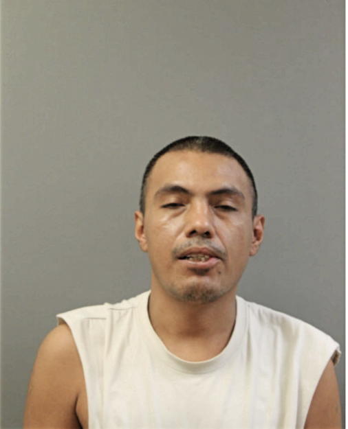 ADRIAN REYES, Cook County, Illinois