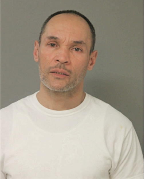 NOEL L ROLDAN, Cook County, Illinois