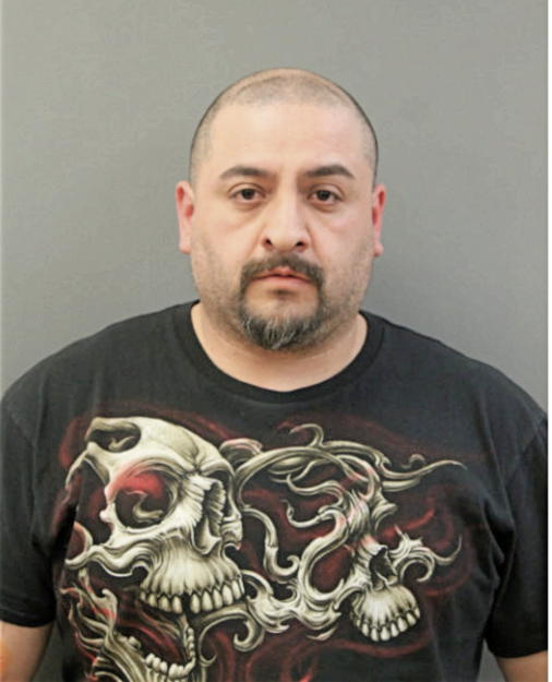 HUGO R ROMAN, Cook County, Illinois