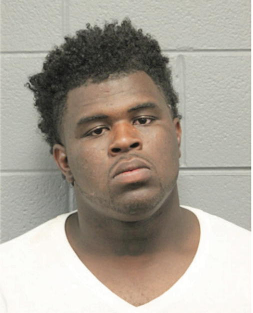 ROBERT S SNEAD, Cook County, Illinois
