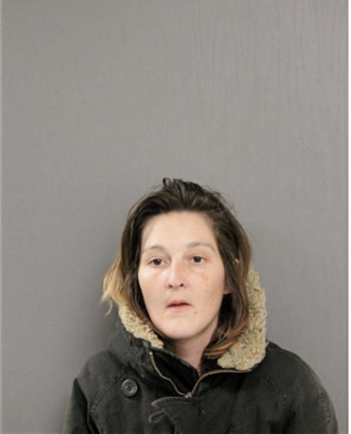 HEATHER L WITT, Cook County, Illinois