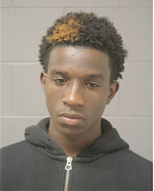 PHILLIP L BATIE, Cook County, Illinois