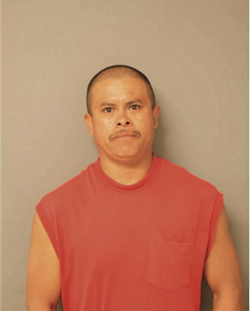 DOMINGO CRUZ, Cook County, Illinois