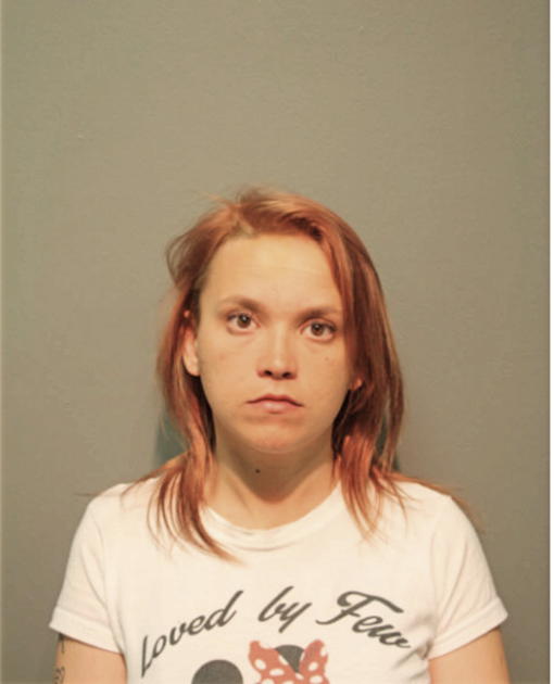 TATYANNA M ERICKSON, Cook County, Illinois
