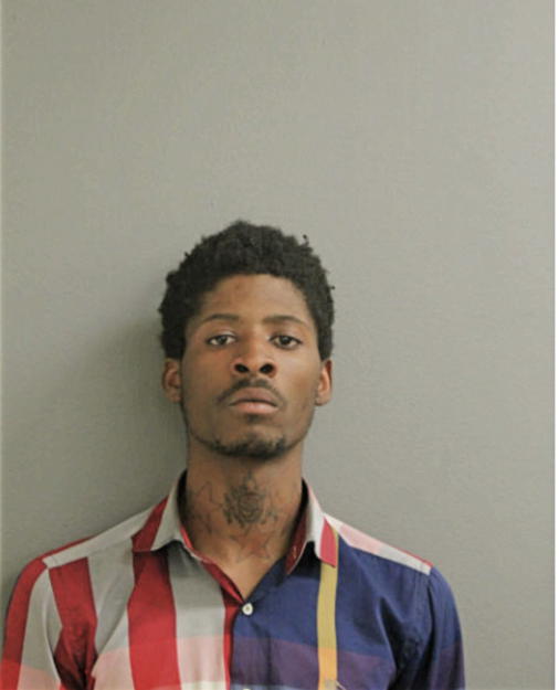 ELIJAH B EVANS, Cook County, Illinois