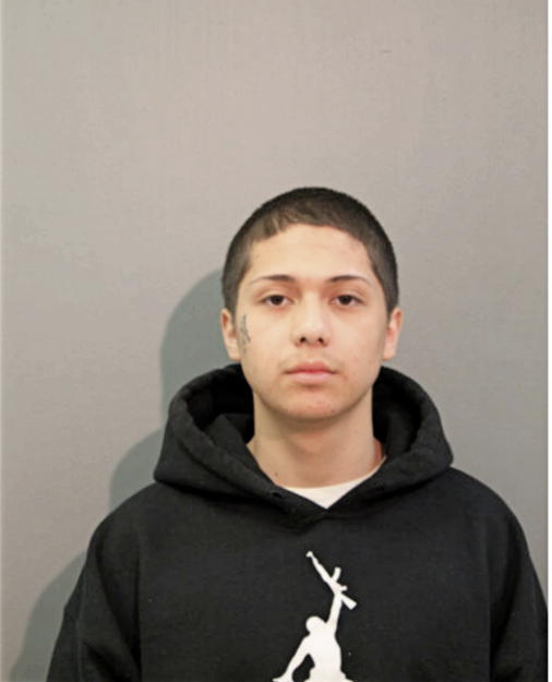 DANIEL A FALCON, Cook County, Illinois