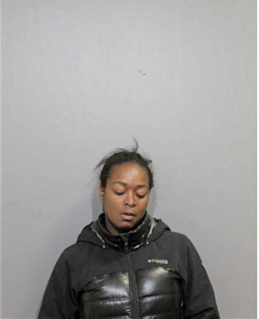ASHLEY S FLEMING, Cook County, Illinois