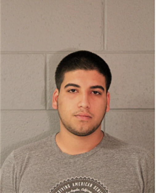 TARIQ HAMMAD, Cook County, Illinois