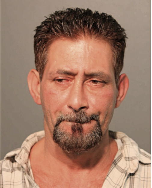 RAYMOND A HERNANDEZ, Cook County, Illinois