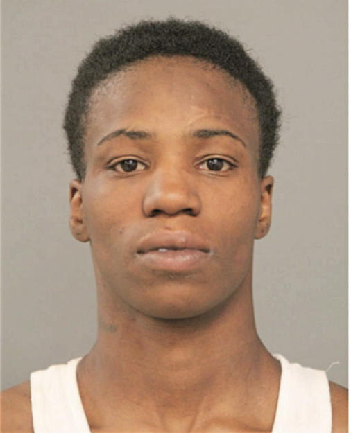 SHAMEKA M HOLLIDAY, Cook County, Illinois