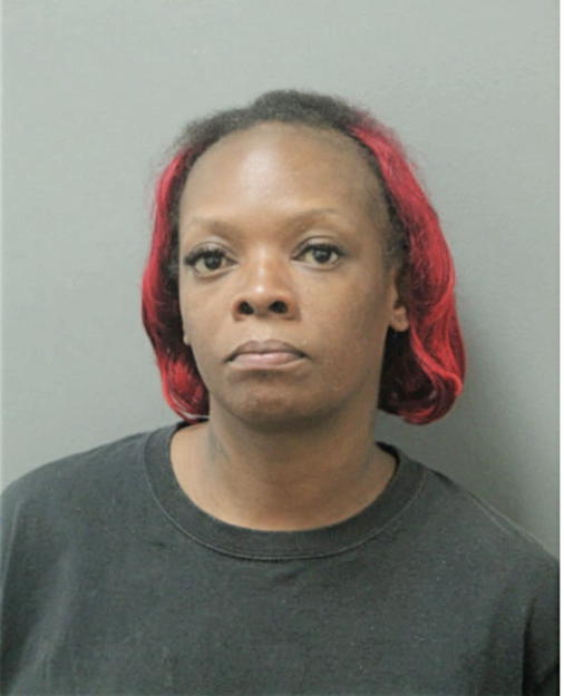 DONNA M LONG, Cook County, Illinois