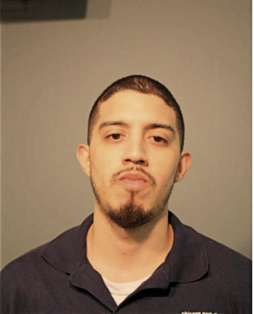 GASTON A LOPEZ, Cook County, Illinois
