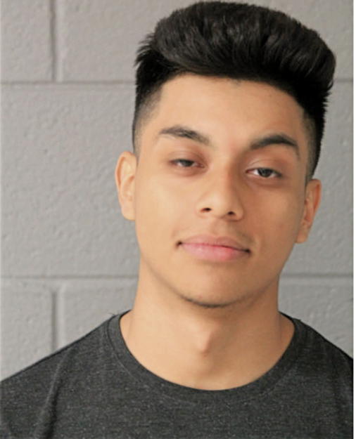 WILLIAM MARTINEZ, Cook County, Illinois