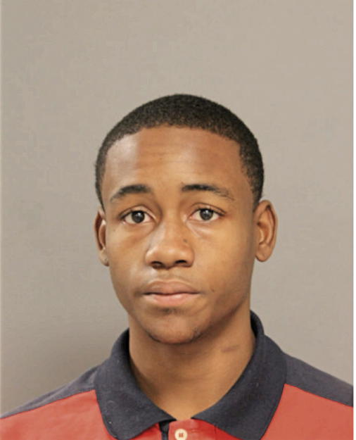 JAVON T NELSON, Cook County, Illinois