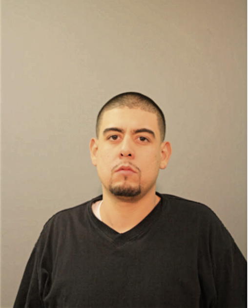 ORLANDO C NIEVES, Cook County, Illinois