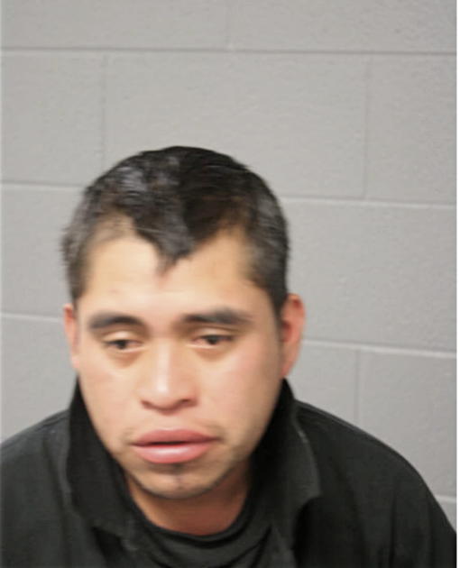 MANUEL ORTIZ-AYALA, Cook County, Illinois