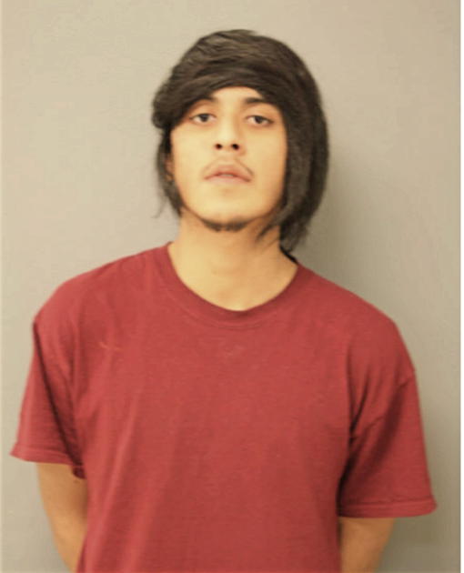 JAIRO O REYES, Cook County, Illinois