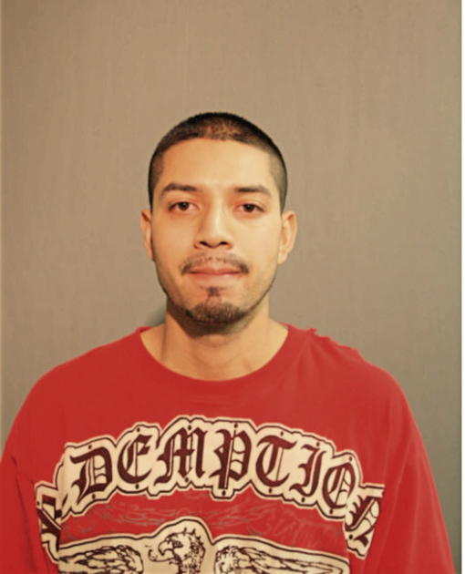 PEDRO ROA, Cook County, Illinois