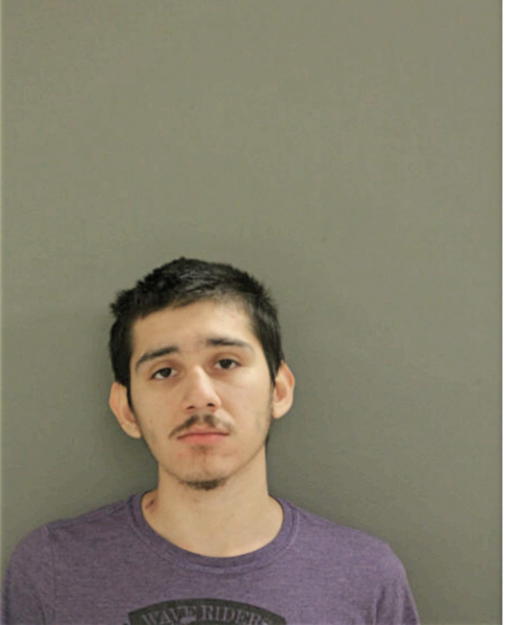 SANTANA RODRIGUEZ, Cook County, Illinois