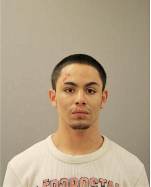 DAVID ROSTRO, Cook County, Illinois