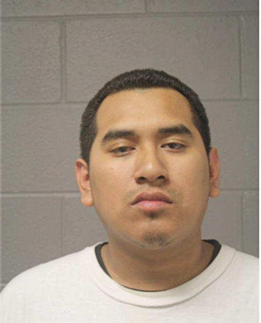 RICARDO RUBIO, Cook County, Illinois