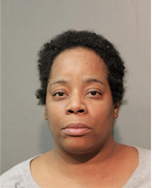 STEPHANIE V SALLEY, Cook County, Illinois
