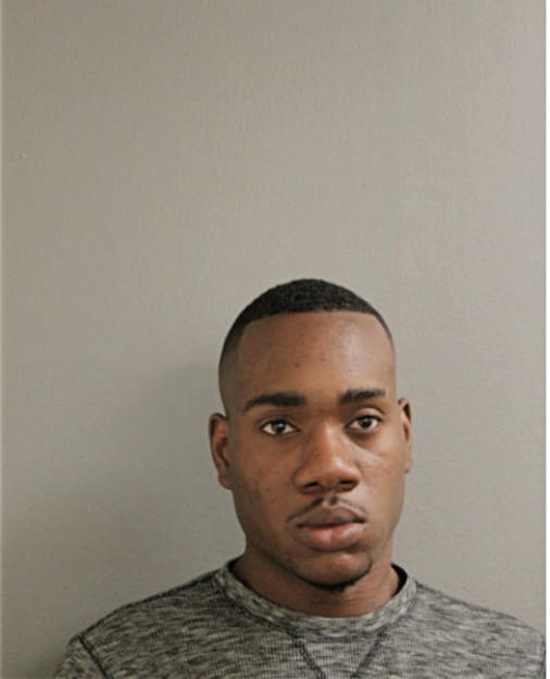 FRANK J SANDERS JR, Cook County, Illinois