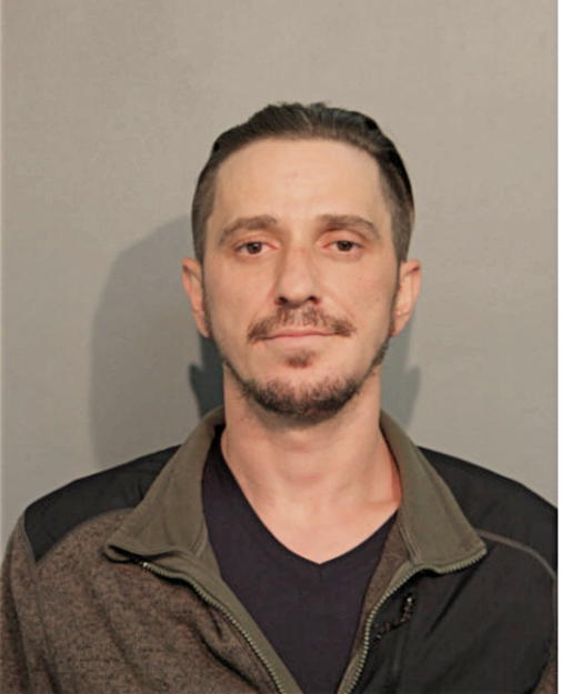 ERDIN SELMANI, Cook County, Illinois
