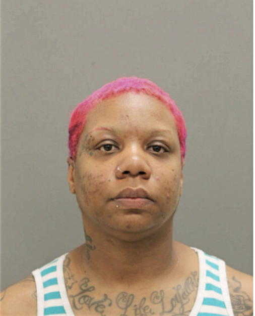 TAMEKA J SMITH, Cook County, Illinois