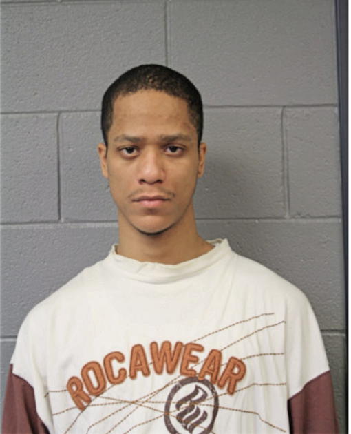 DAVID T TURNER, Cook County, Illinois