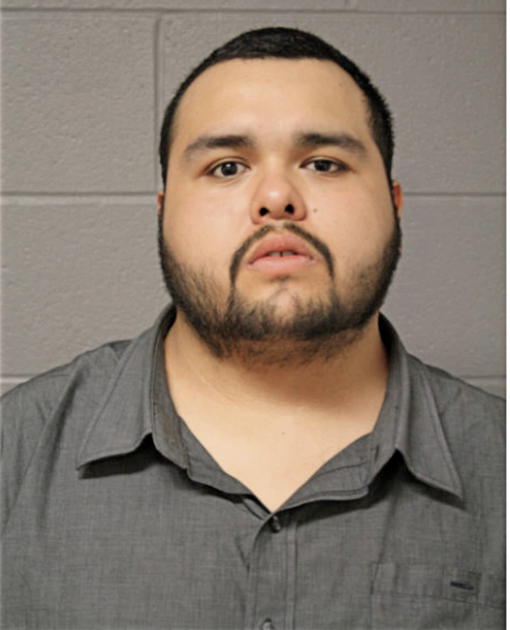 BLADY VARGAS, Cook County, Illinois