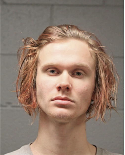 GAGE C WEBB, Cook County, Illinois