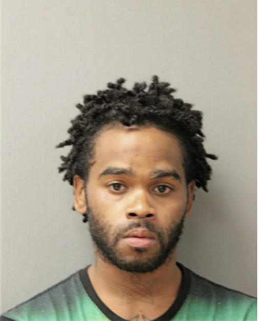 MICHAEL A WILSON, Cook County, Illinois