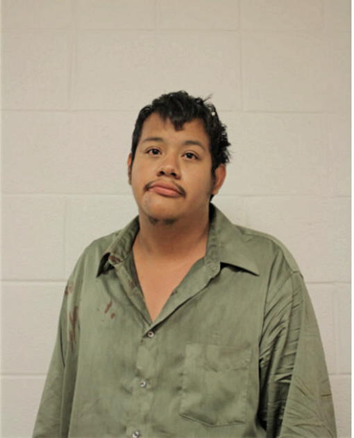 SERGIO ANAYA, Cook County, Illinois