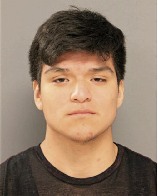 JORGE ARELLANO, Cook County, Illinois
